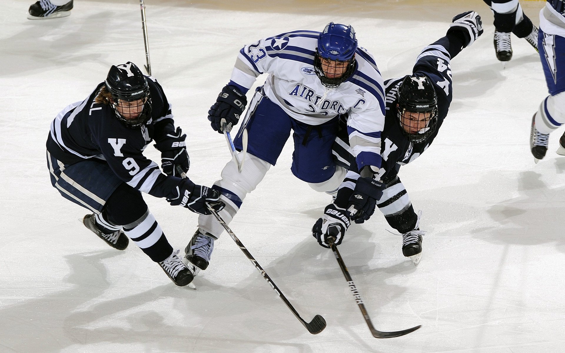 运动康复科普讲座走进社区和学校,运动康复科普讲座走进社区和学校的感受